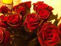 Эти розы - всем, родившимся в апреле!!! (размер 43кБ)